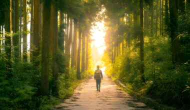 Becoming Who God Designed You to Be