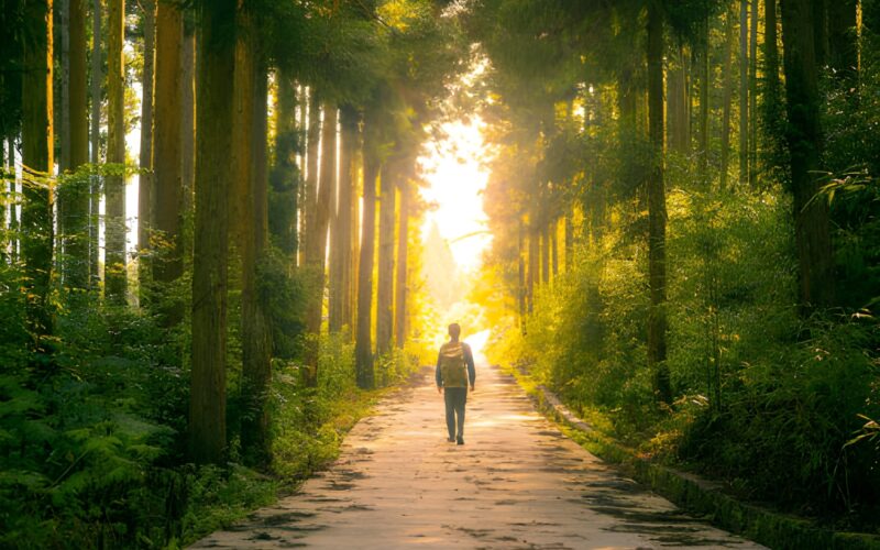 Becoming Who God Designed You to Be