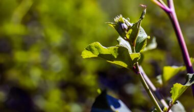 The Power of Waiting