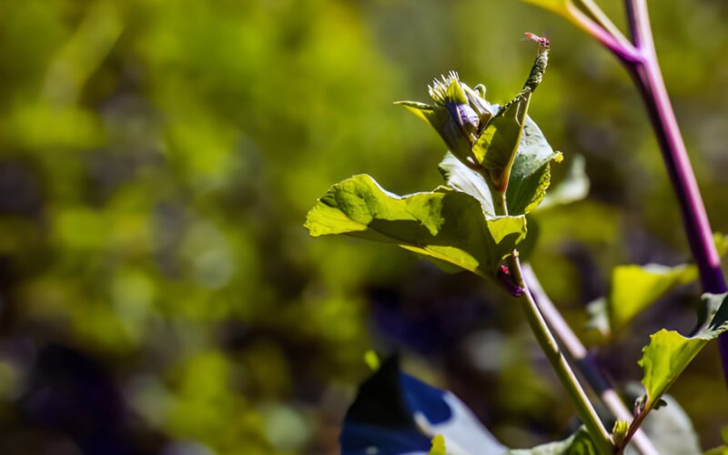 The Power of Waiting