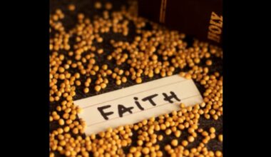 Mustard Seed Faith