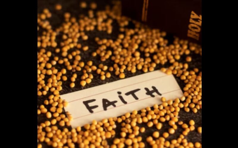 Mustard Seed Faith